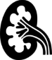 global kidney foundation icon-kidney
